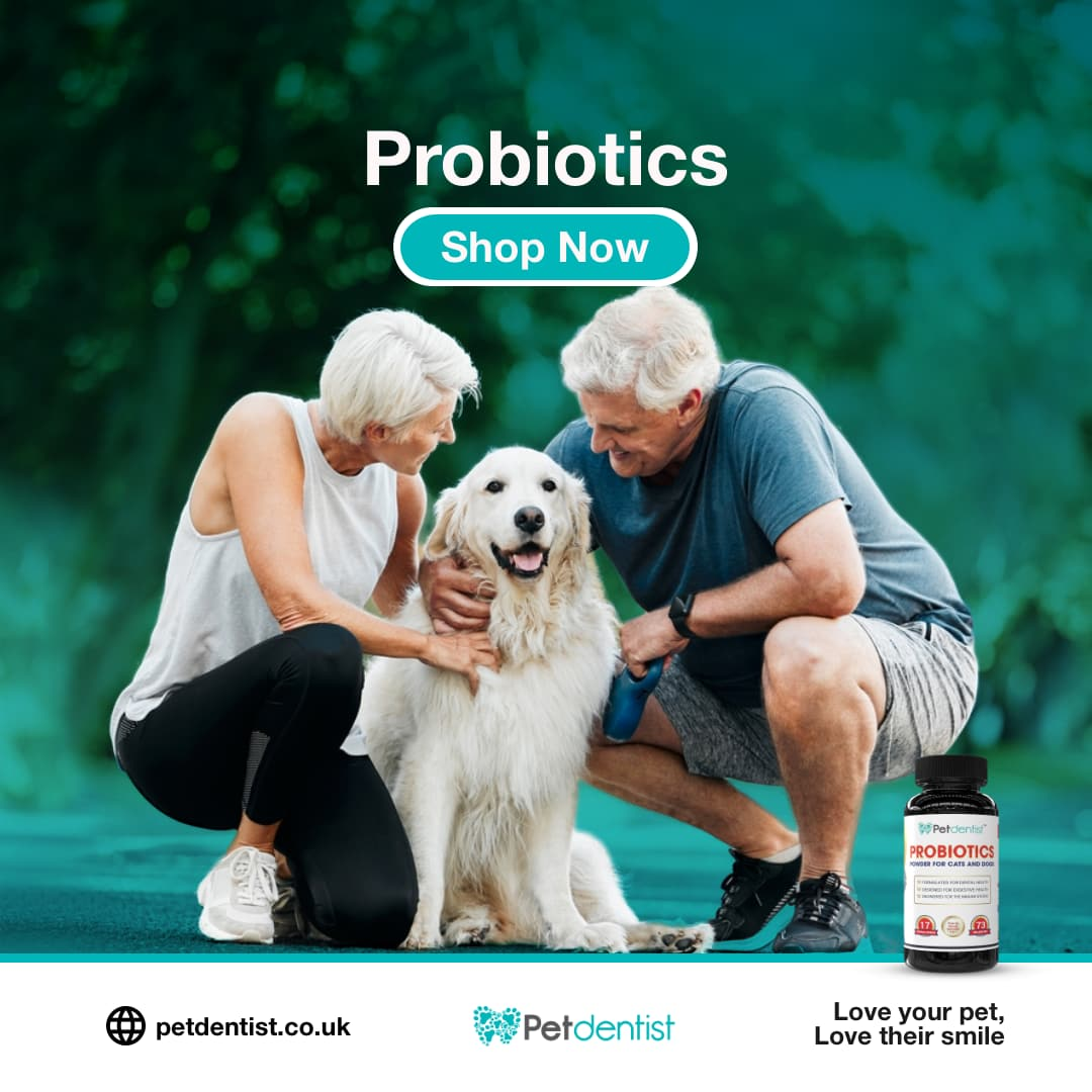 Pet Probiotics