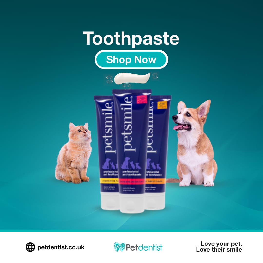 Pet Toothpaste