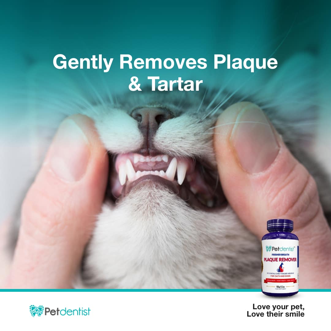 Plaque Remover for Cats and Dogs