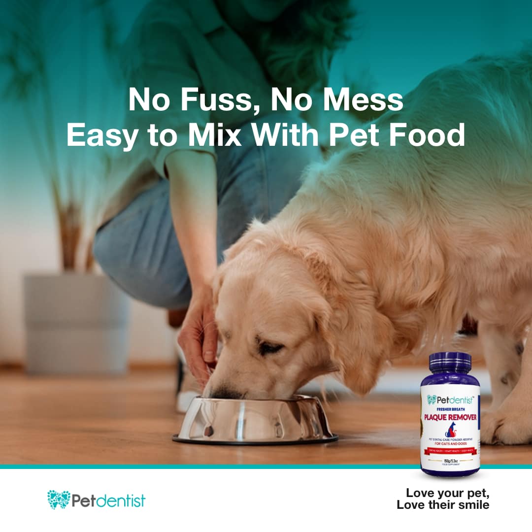 Plaque Remover for Cats and Dogs