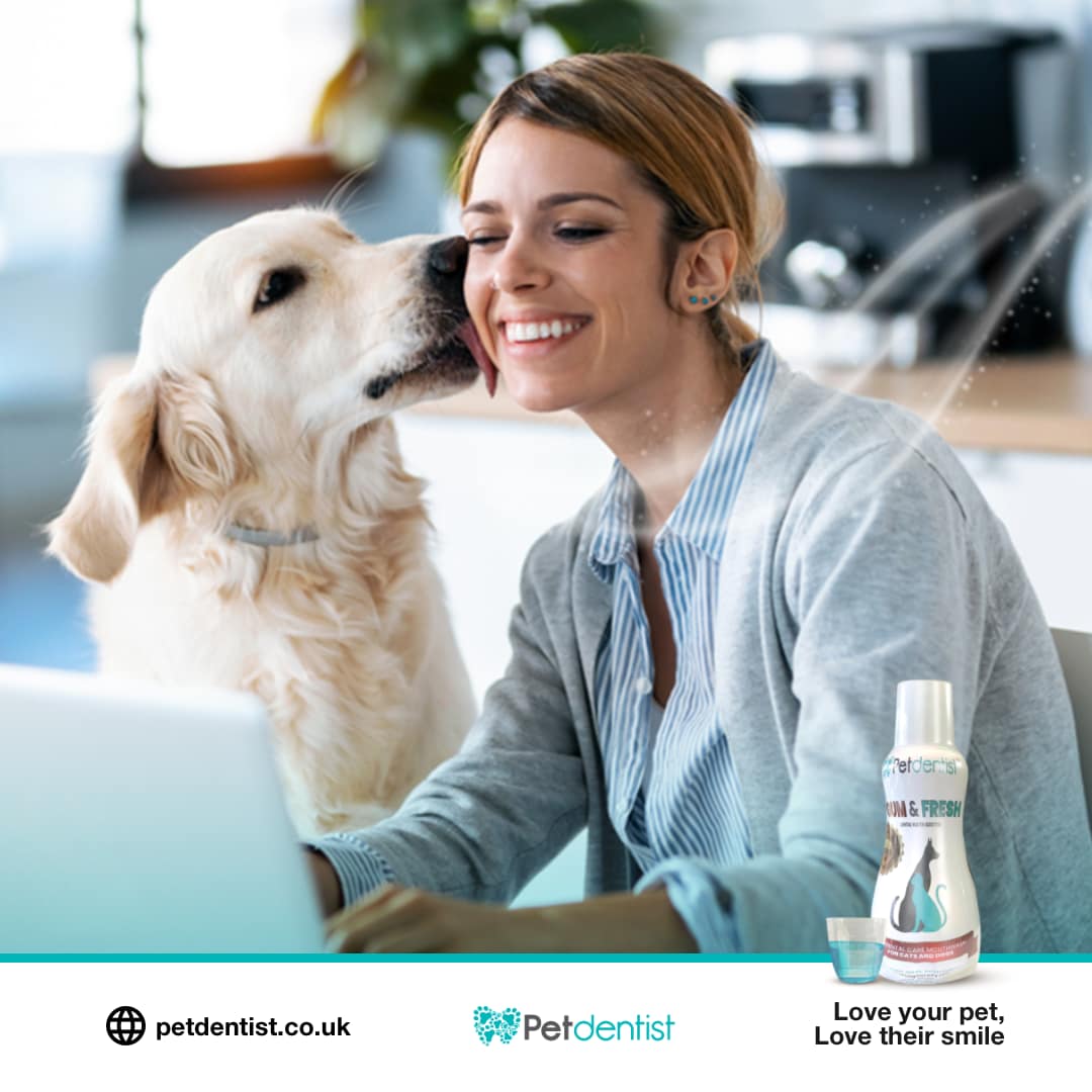 gum-and-fresh-water-additive-mouthwash-for_cats-and-dogs-petdentist-04