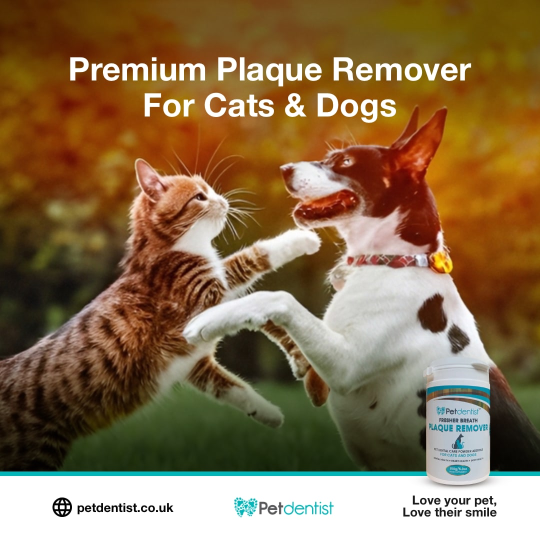 petdentist-fresh-breath-plaque-remover-for-cats-and-dogs-02