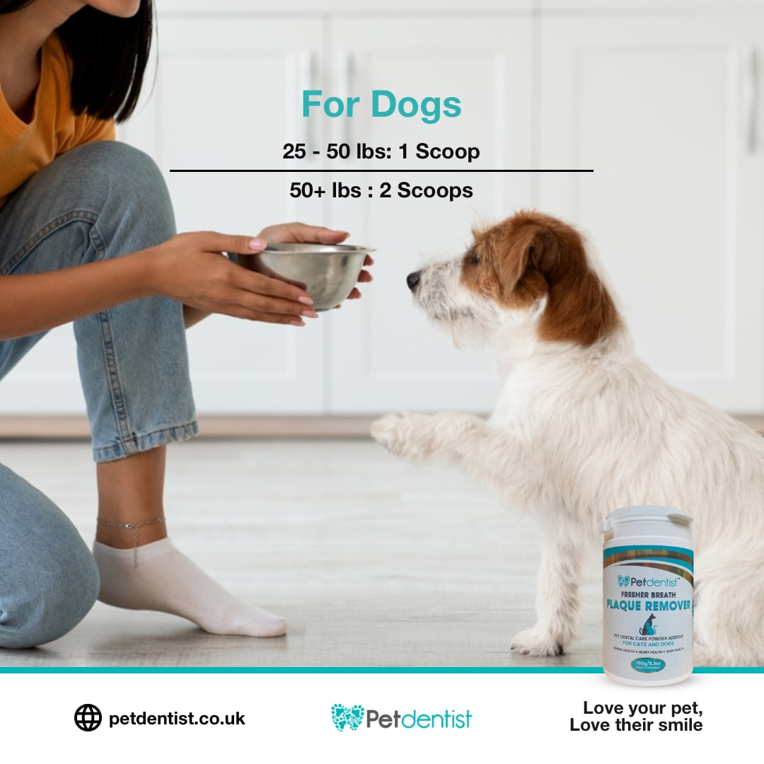 petdentist-fresh-breath-plaque-remover-for-cats-and-dogs-03
