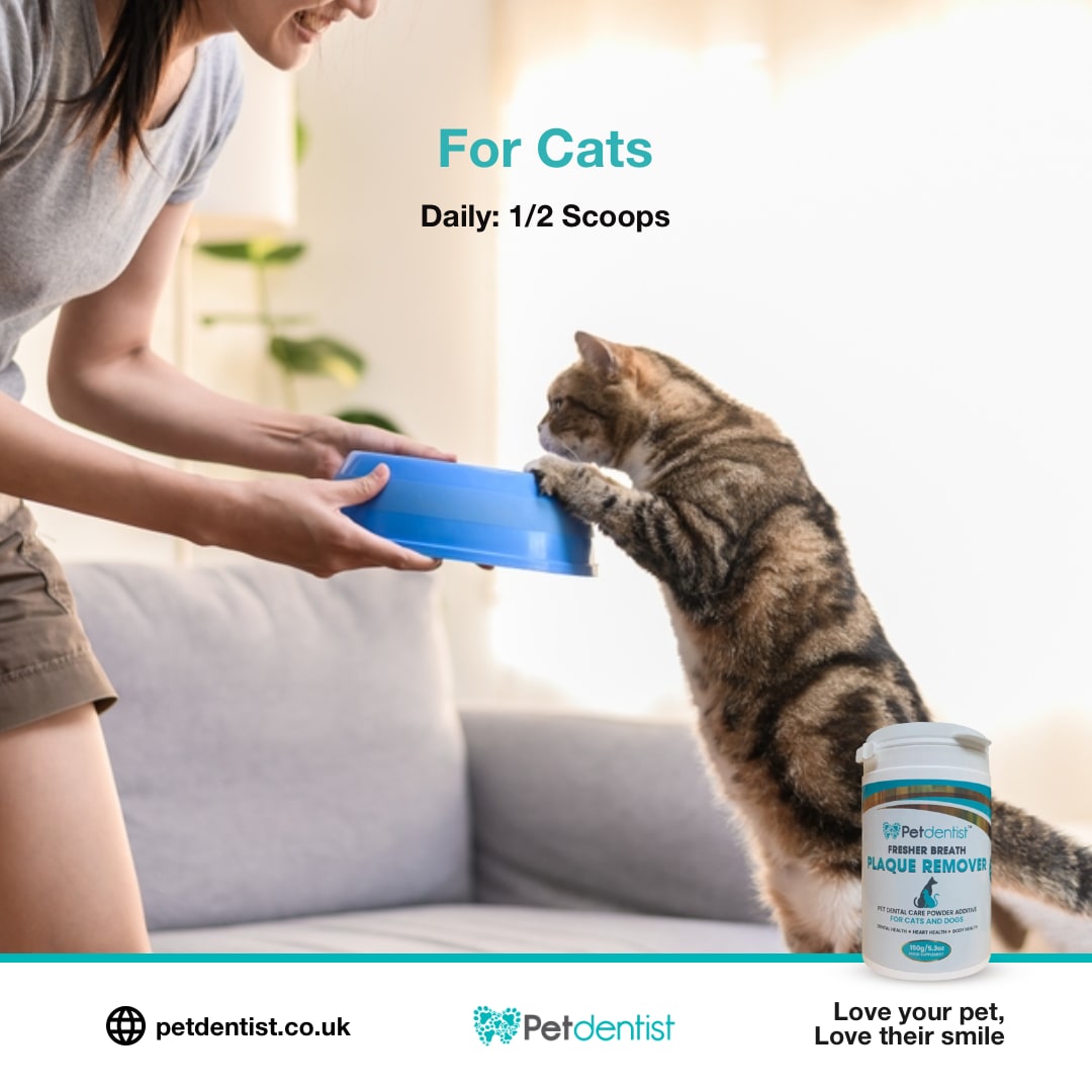 petdentist-fresh-breath-plaque-remover-for-cats-and-dogs-04