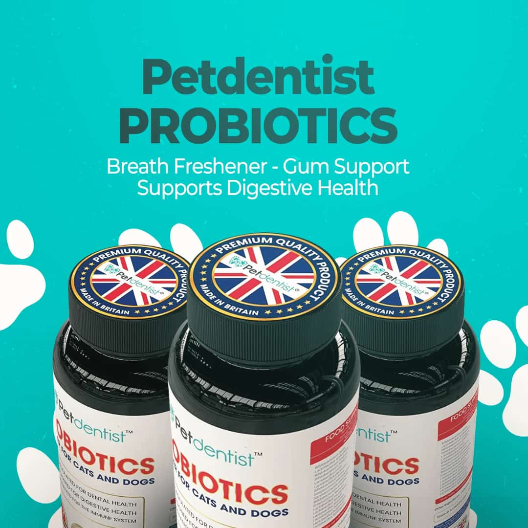 petdentist-probiotics-powder-supplement-for-cats-dogs-09