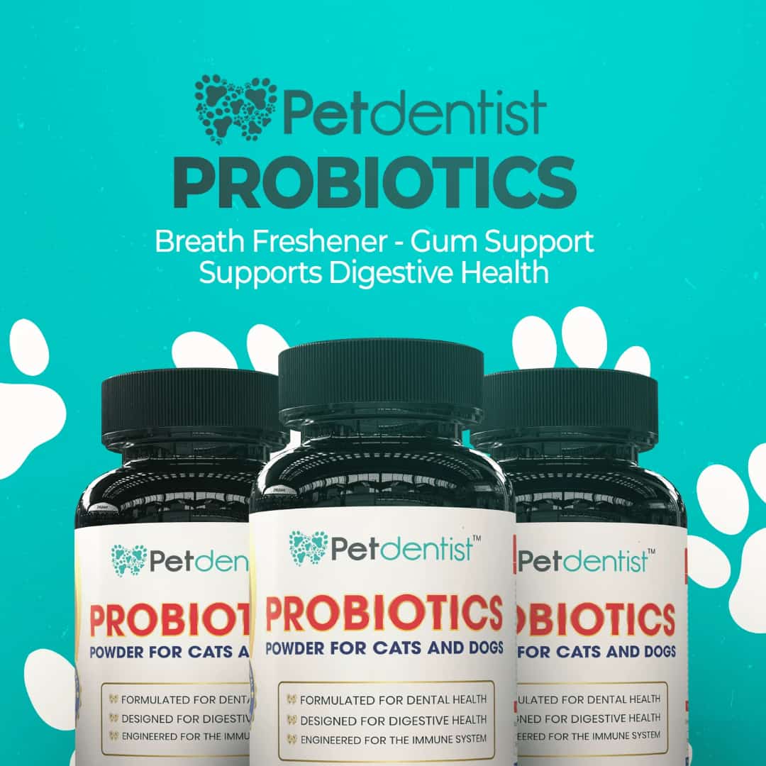 petdentist-probiotics-powder-supplement-for-cats-dogs-10