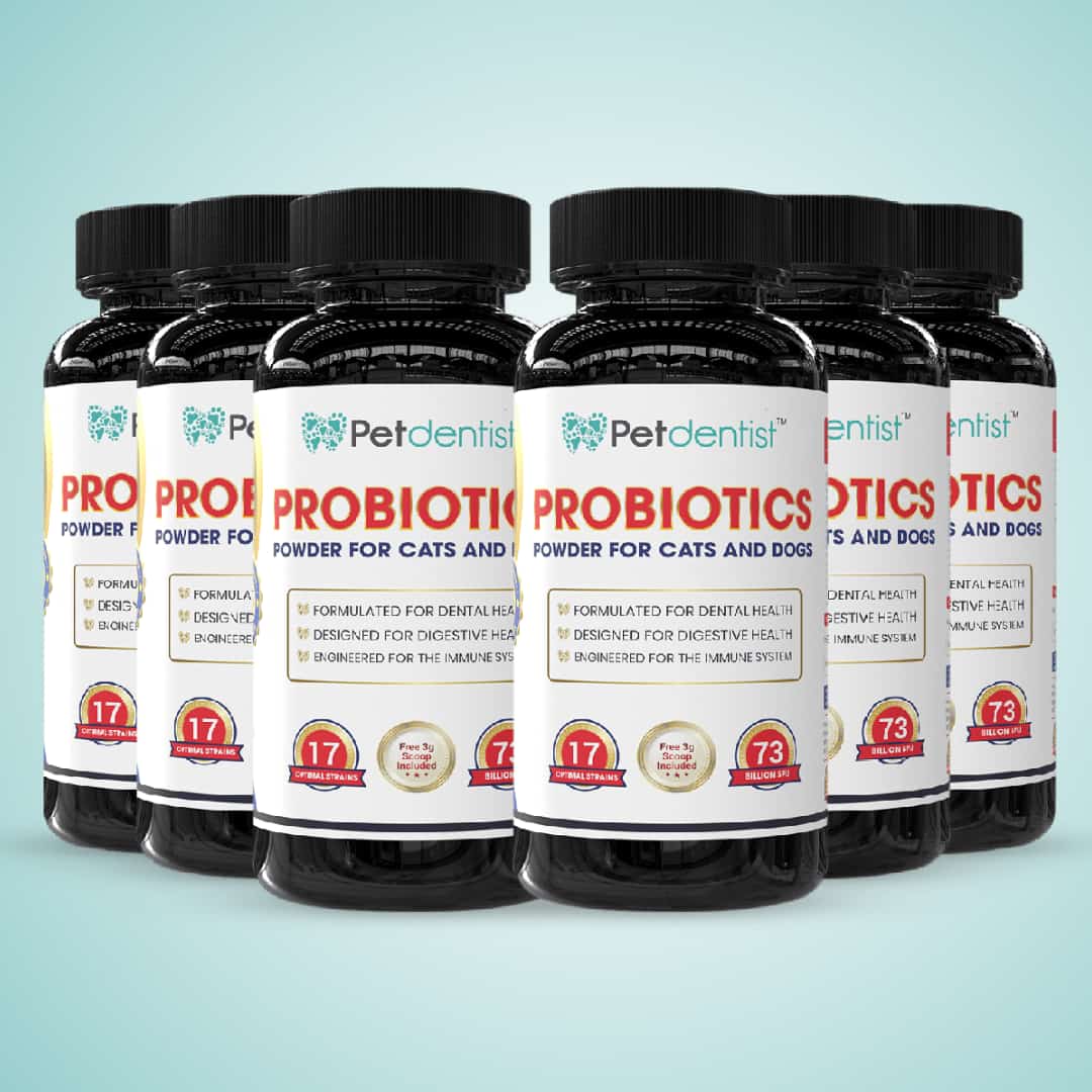 Probiotics Powder For Cats & Dogs