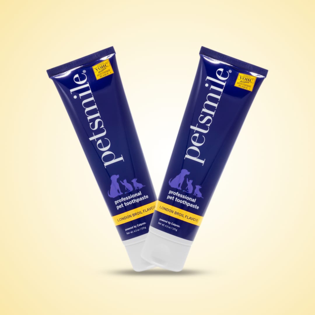 Petsmile Professional Pet Toothpaste (London Broil Flavour)