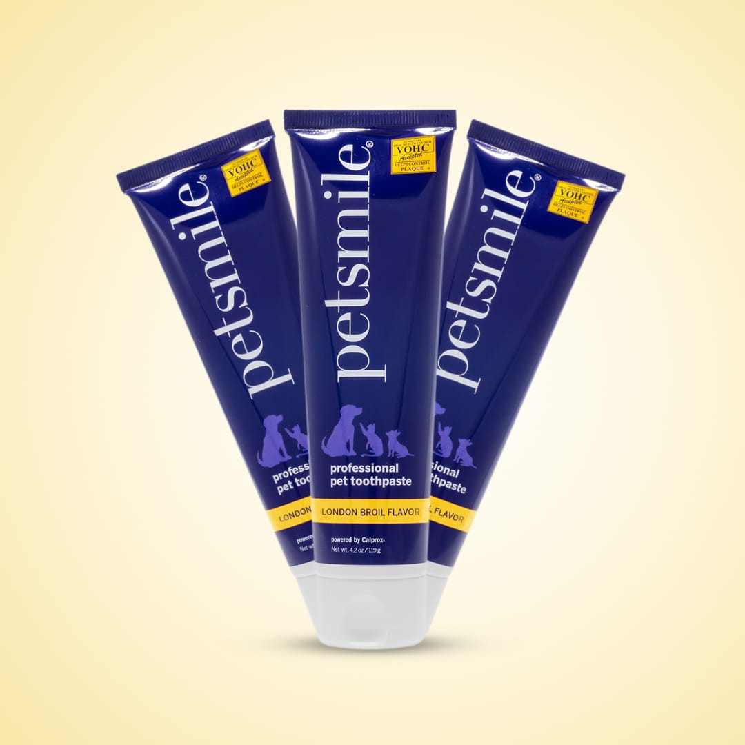 Petsmile Professional Pet Toothpaste (London Broil Flavour)