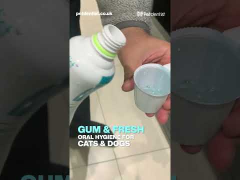 gum-and-fresh-water-additive-mouthwash-for_cats-and-dogs-petdentist-video-01