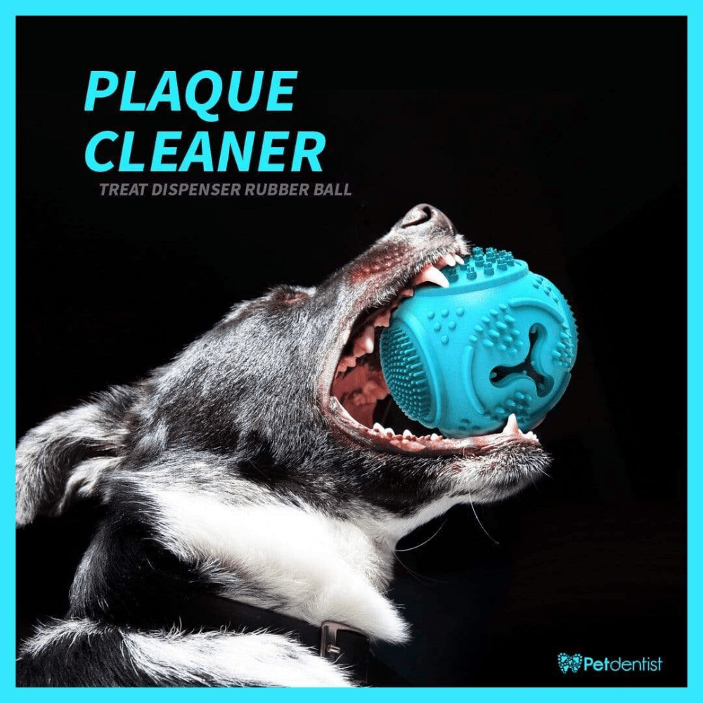 Dog Ball Treat Dispenser Rubber Chew Toy Plaque Cleaner – Blue - Petdentist