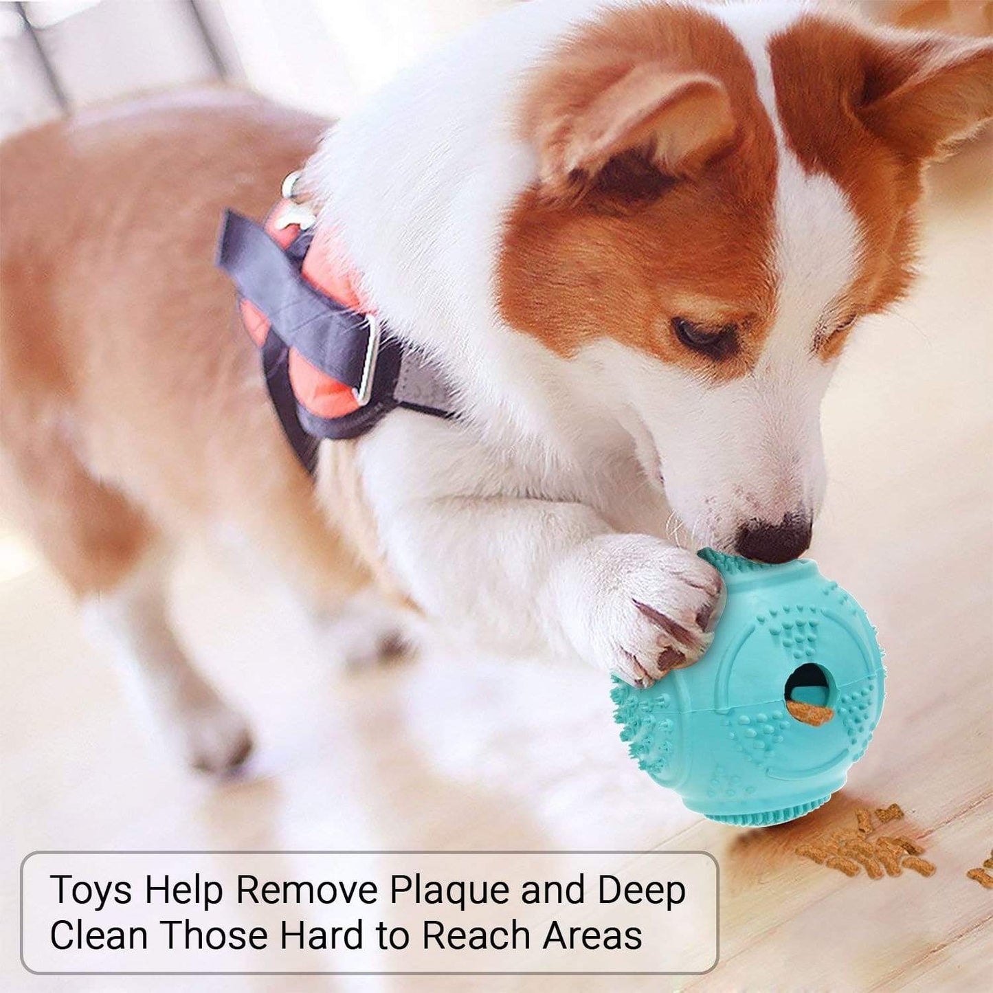 Dog Ball Treat Dispenser Rubber Chew Toy Plaque Cleaner – Blue - Petdentist