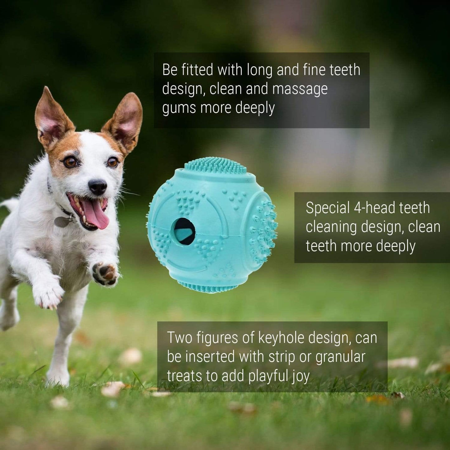 Dog Ball Treat Dispenser Rubber Chew Toy Plaque Cleaner – Blue - Petdentist