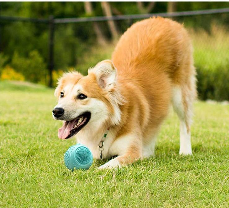 Dog Ball Treat Dispenser Rubber Chew Toy Plaque Cleaner  – Blue - Petdentist