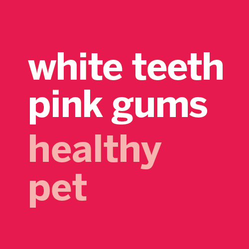 petsmile-toothpaste-for-cats-and-dogs-rotisserie-chicken-flavour-03