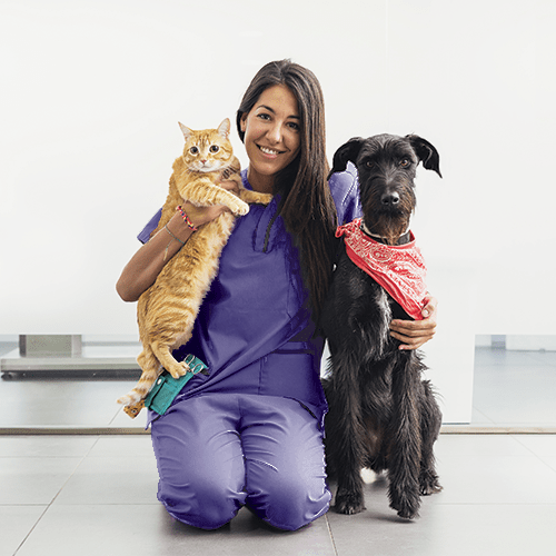 petsmile-toothpaste-for-cats-and-dogs-rotisserie-chicken-flavour-04