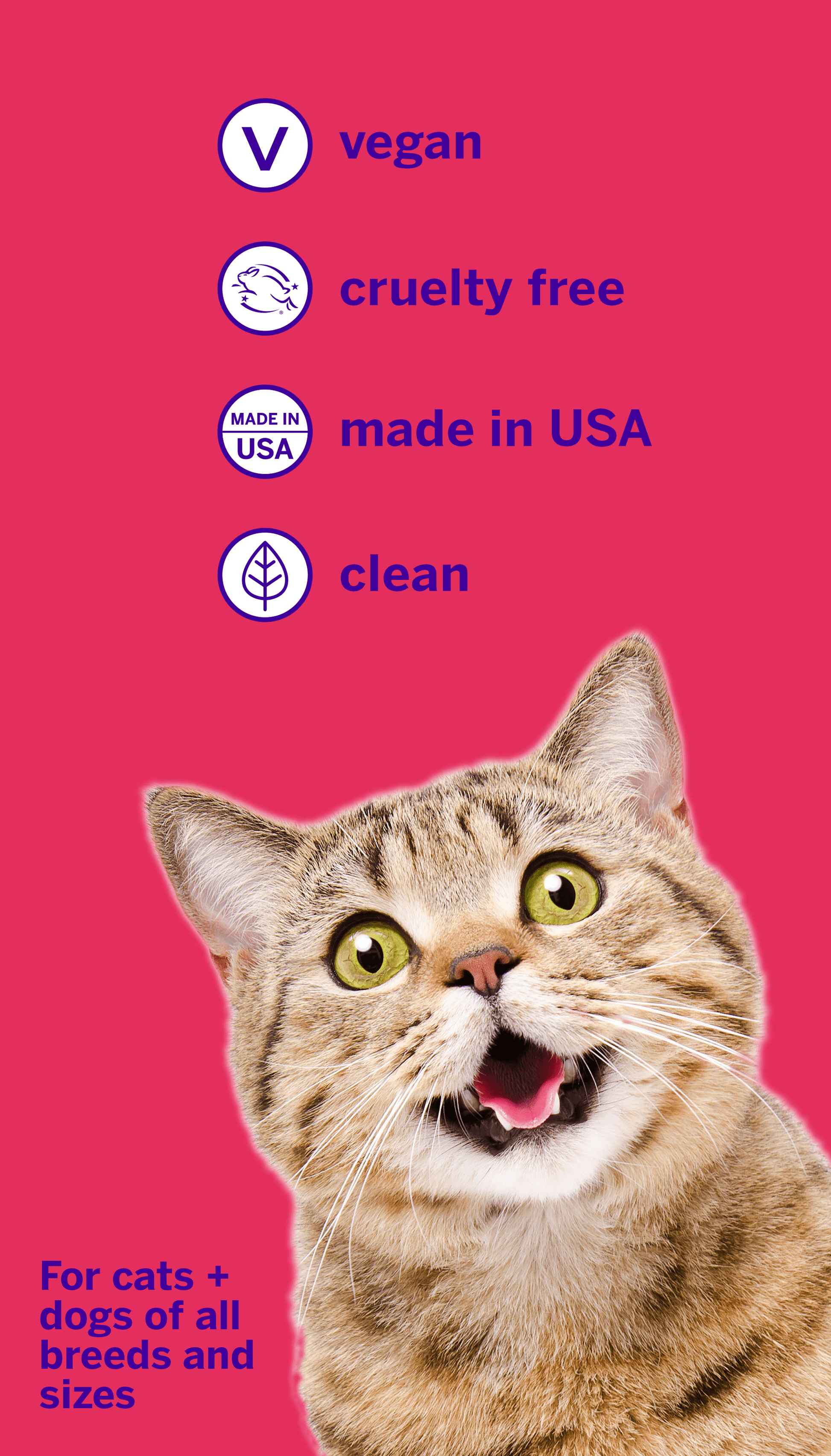 petsmile-toothpaste-for-cats-and-dogs-rotisserie-chicken-flavour-07