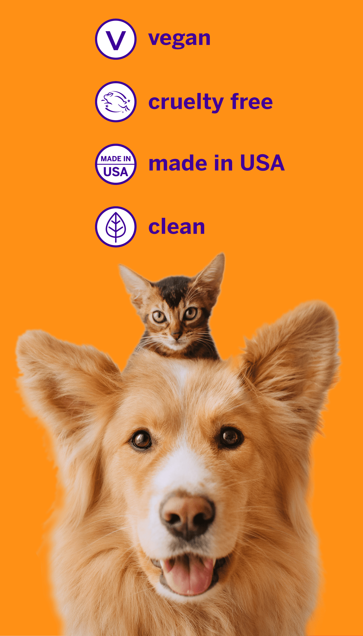 petsmile-toothpaste-for-cats-and-dogs-say-cheese-flavour-07
