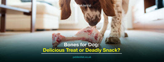 bones-for-dog-petdentist-blog