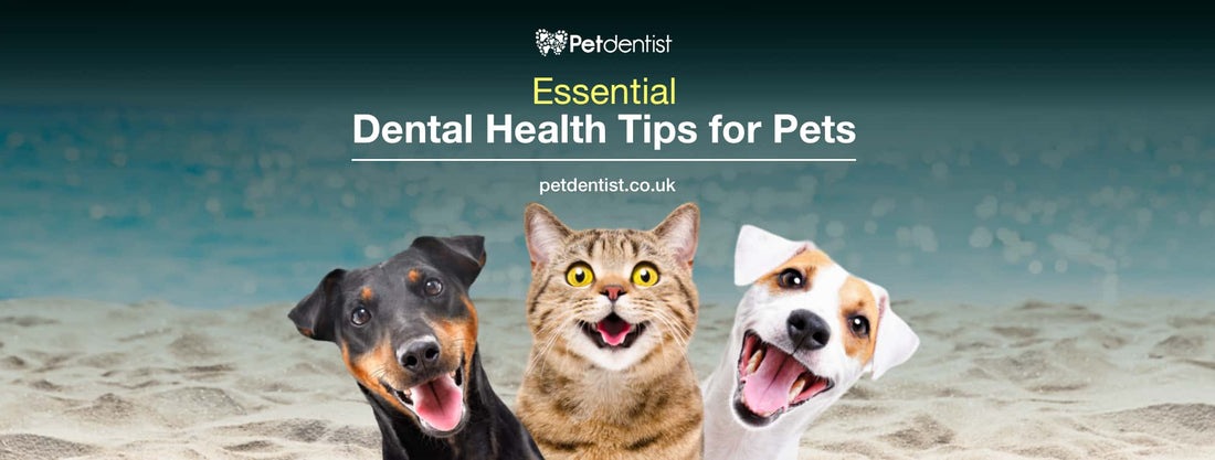 essential-dental-health-tips-for-pets-petdentist