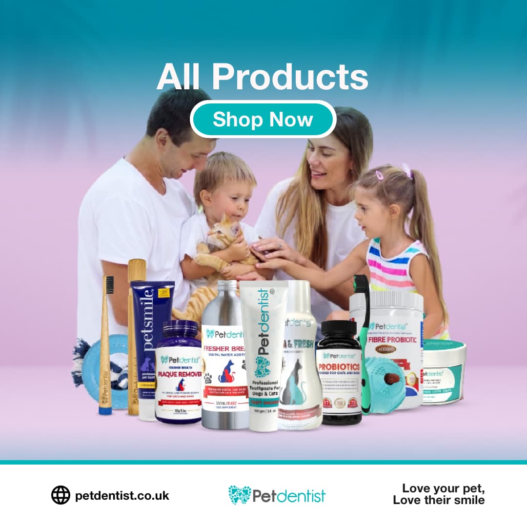 All Products