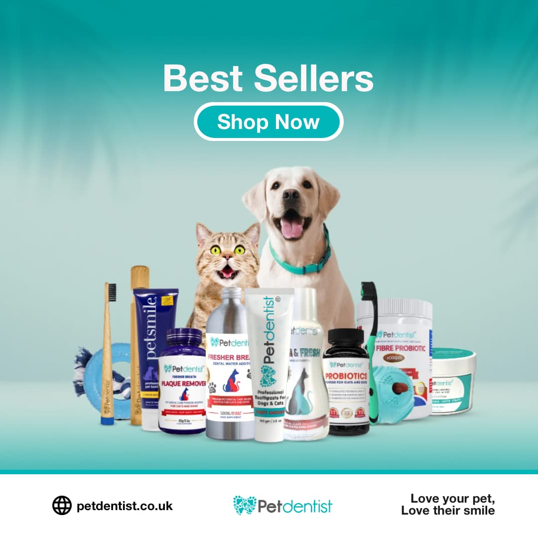 Best Sellers