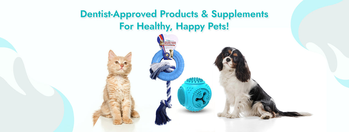 Best Dog Dental Care Dental Care for Dogs Petdentist