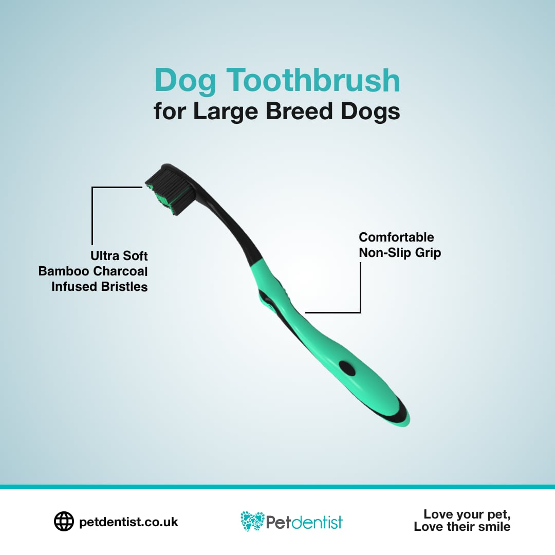 Dog Toothbrush Large Breeds Petdentist