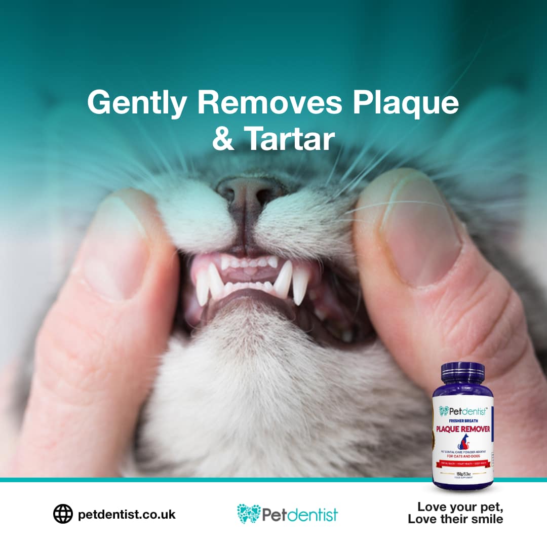 dental-plaque-remover-for-cats-and-dogs-petdentist-03
