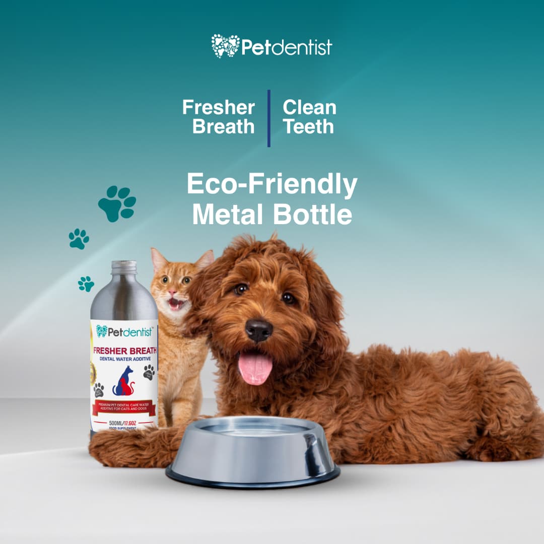 Best dog teeth cleaning products uk best sale