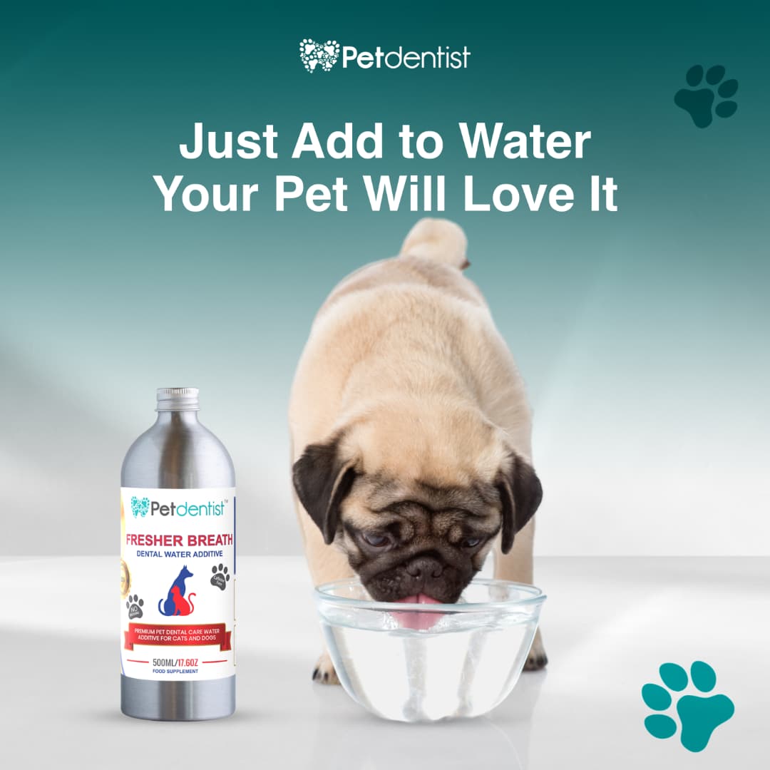 Fresher Breath Dental Water Additive for Cats and Dogs