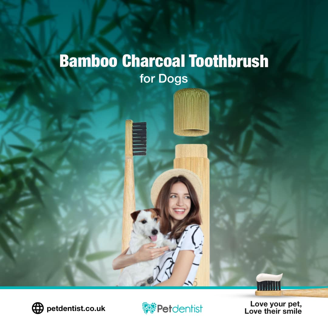 natural-bamboo-charcoal-toothbrush-for-dog-02