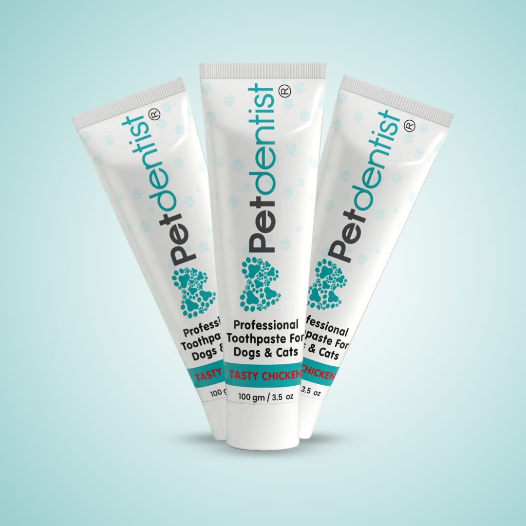 Natural Professional Pet Toothpaste - Tasty Chicken Flavour