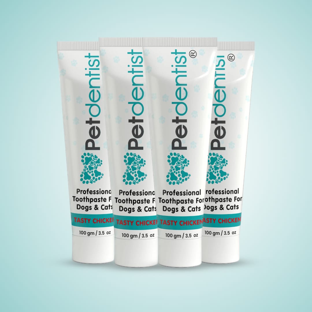 Natural Professional Pet Toothpaste - Tasty Chicken Flavour