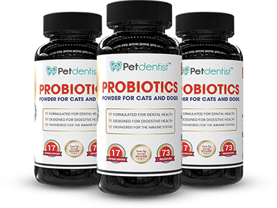 Find the Best Pet Probiotics Online Petdentist