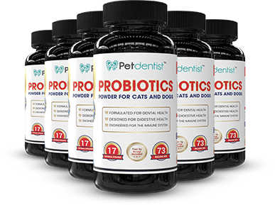 Petdentist® Pet Probiotics Supplement Petdentist® Probiotics Powder For Cats & Dogs (Made in UK)