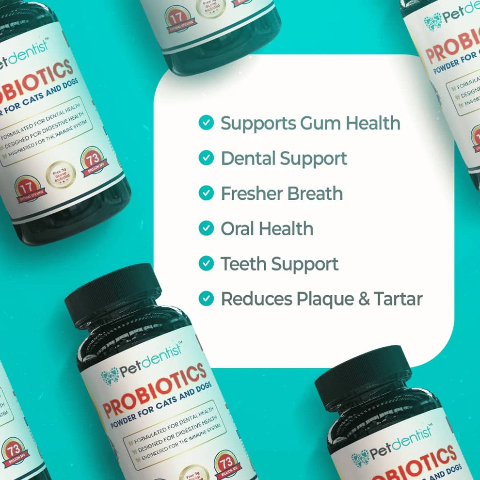Find the Best Pet Probiotics Online - Petdentist