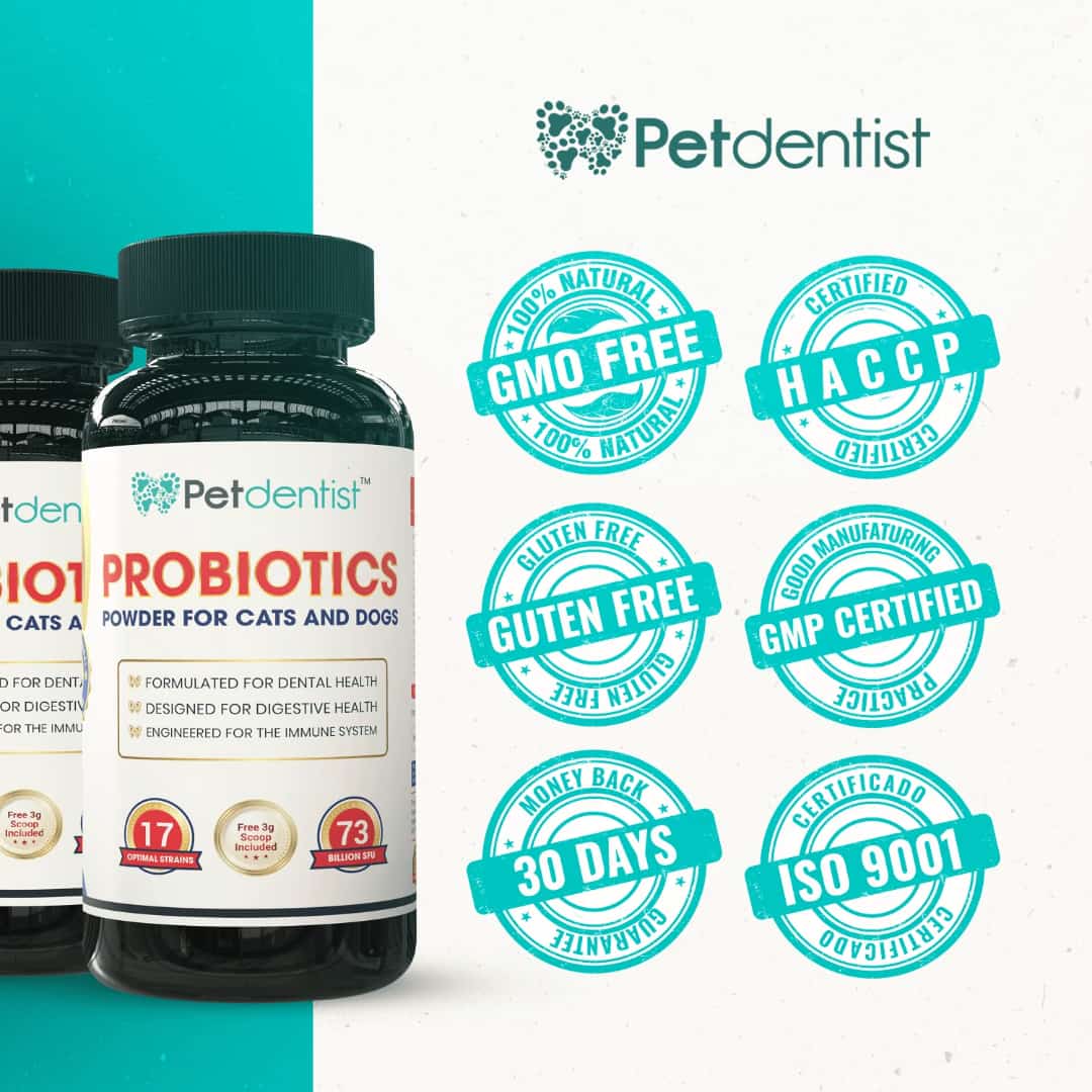 Find the Best Pet Probiotics Online - Petdentist
