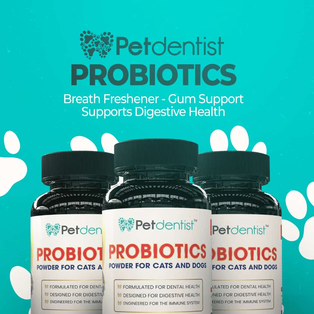 Probiotic powder for cats hotsell