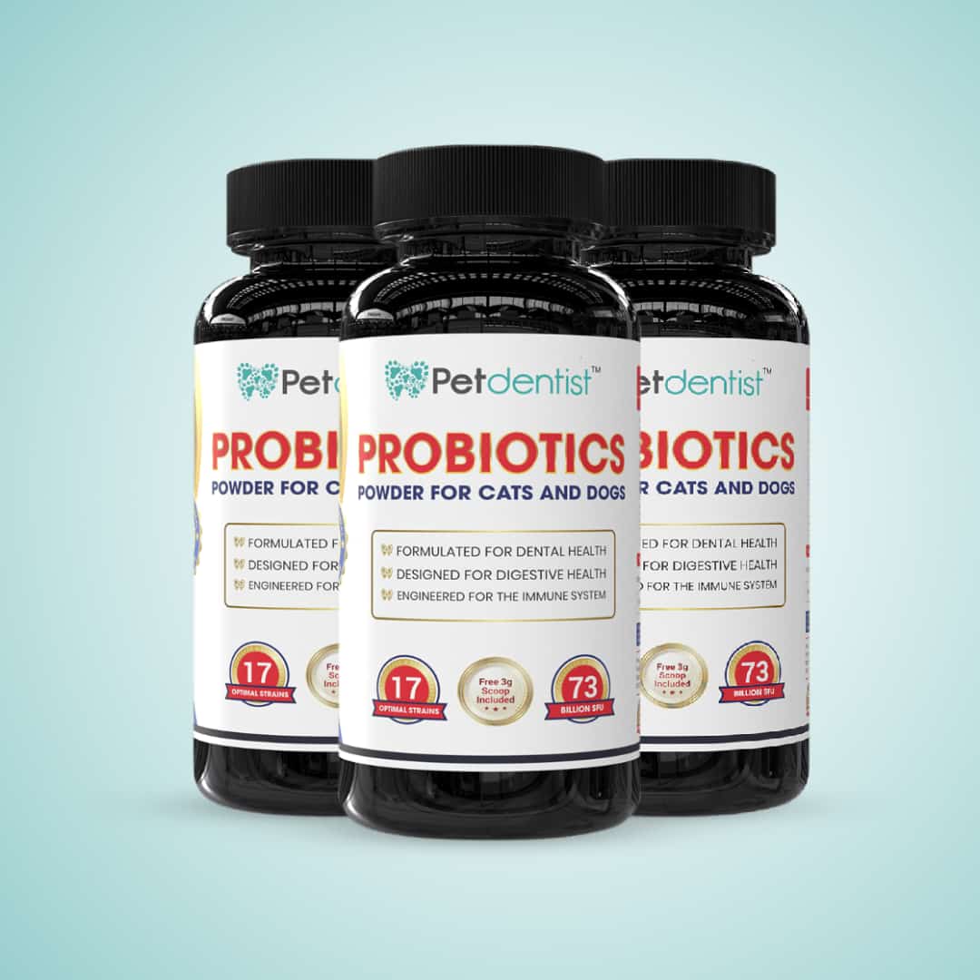 Probiotics Powder For Cats & Dogs