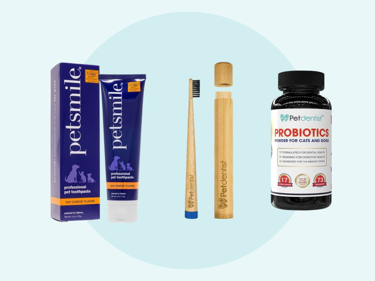 Petsmile Say Cheese toothpaste, Petdentist bamboo toothbrush with travel case and Petdentist probiotic powder on a pale turquoise background