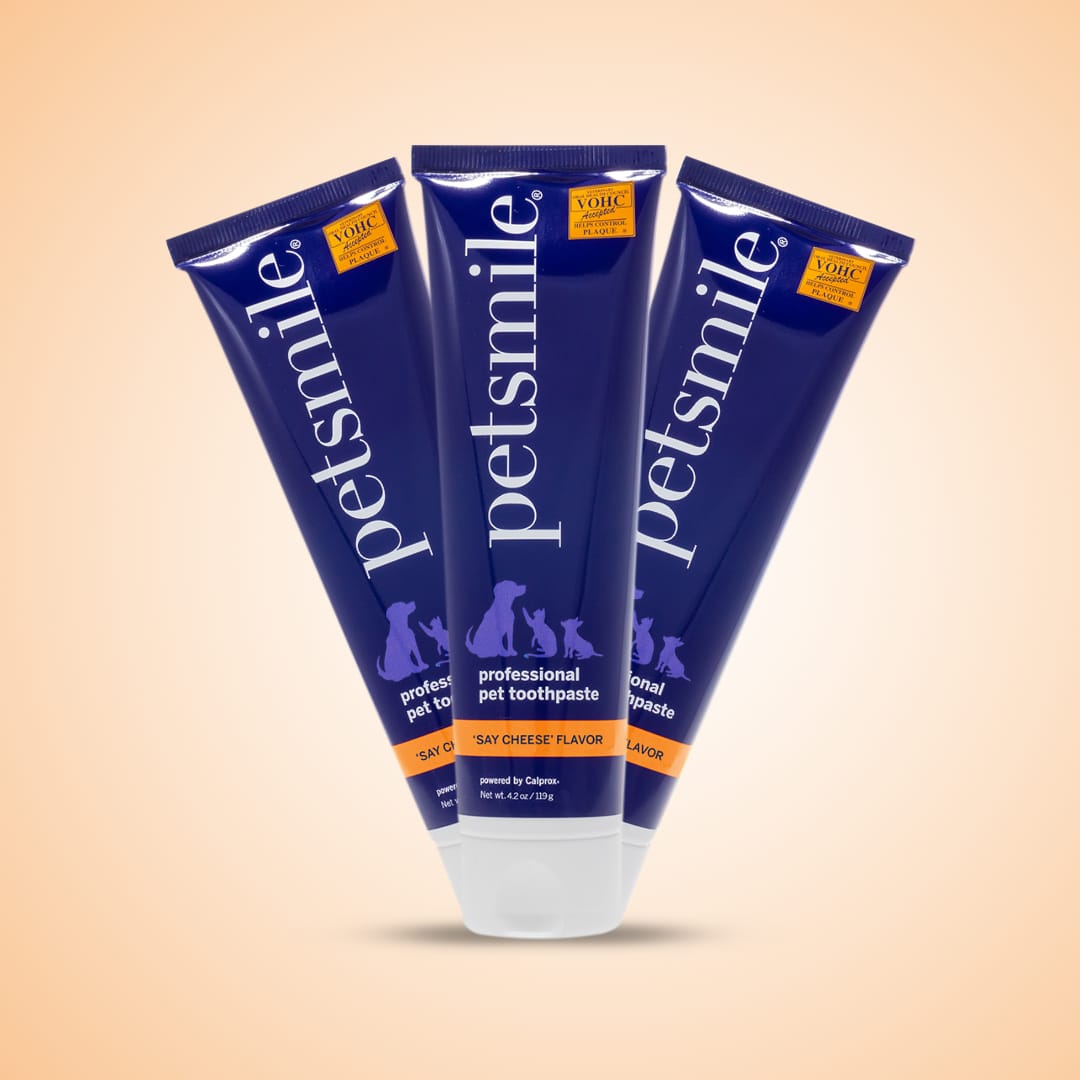 Petsmile Professional Pet Toothpaste (Say Cheese Flavour)
