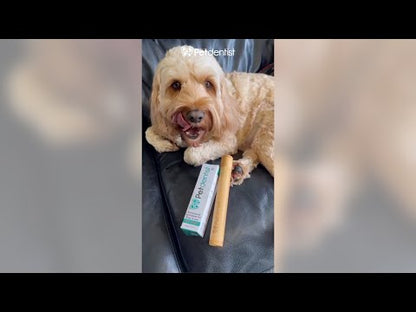 Natural Professional Pet Toothpaste - Tasty Chicken Flavour