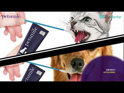 Petsmile Professional Pet Toothpaste (Say Cheese Flavour)