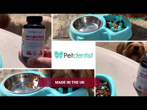 Best probiotic for top dogs canada