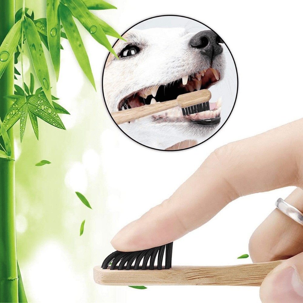 Eco-Friendly Large Breeds Bamboo Charcoal Toothbrush with Natural Bamboo Storage Case - Petdentist
