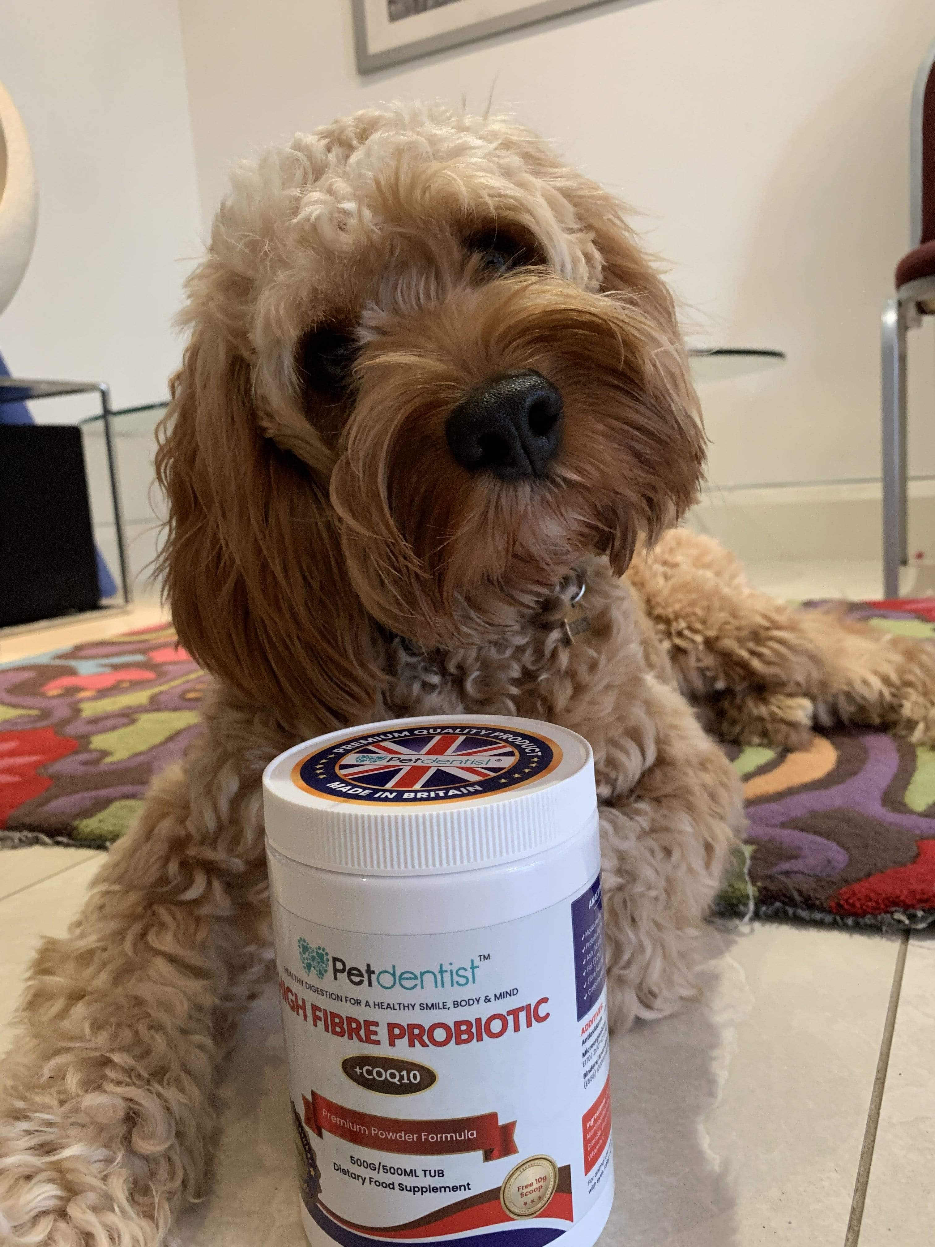 Healthy store dog probiotics