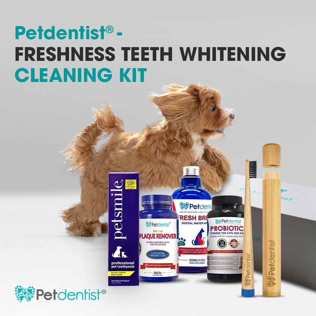 Petdentist® Pet Oral Care Supplies Petdentist®-FRESHNESS Teeth Whitening Cleaning Kit Hamper Gift Set Box For SPARKLING Pet Dental Care