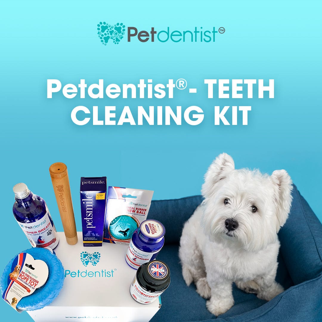 Dog dental 2024 cleaning kit