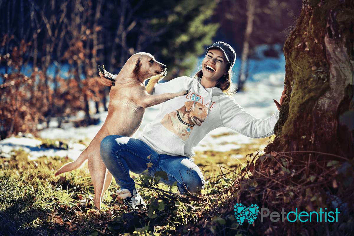 Petdentist Hoodie Unisex Golden Labrador Love Hoodie S-2XL
